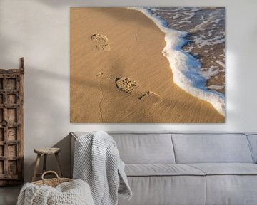 Voetafdrukken in het zand op het strand van Animaflora PicsStock