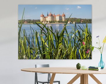 Blick auf Moritzburg vom See von Animaflora PicsStock