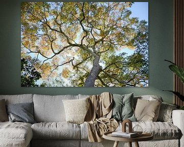 Autumn Tree no. 01 by Adriano Oliveira