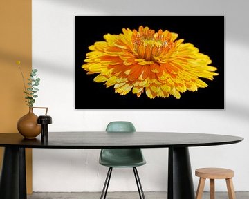 Gele bloem van Masselink Portfolio