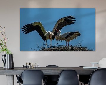 Stork by Richard van der Zwan