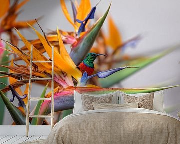 Volop kleur van gea strucks