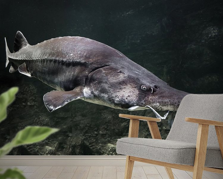 Raumvorschau