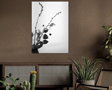 Droog bloemen in zwart en wit van Mei Bakker