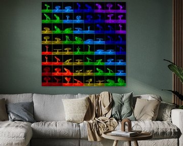 Regenboog collage van Chris de Gier