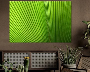 Abstract tropical green leaf by StudioMaria.nl