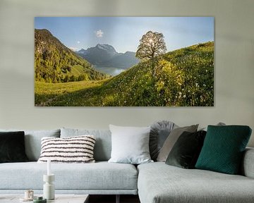 Bergbron boven het Wägitalmeer met bergesdoorn - Panorama van Pascal Sigrist - Landscape Photography