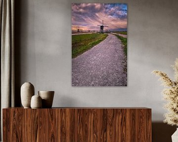 The path to the Kinderdijk mill by Sander Poppe