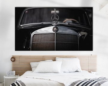 Mercedes-Benz oldtimers van Thilo Wagner