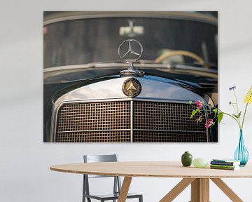 Mercedes-Benz oldtimers van Thilo Wagner