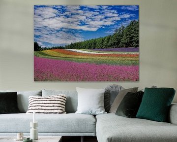 Bloemen landschap