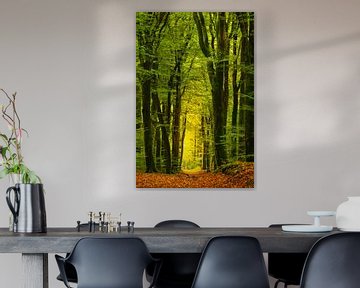 Chemin couvert de feuilles à travers une forêt de hêtres sur Sjoerd van der Wal Photographie