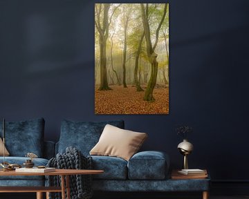 Forêt de hêtres brumeuse en automne sur Sjoerd van der Wal Photographie