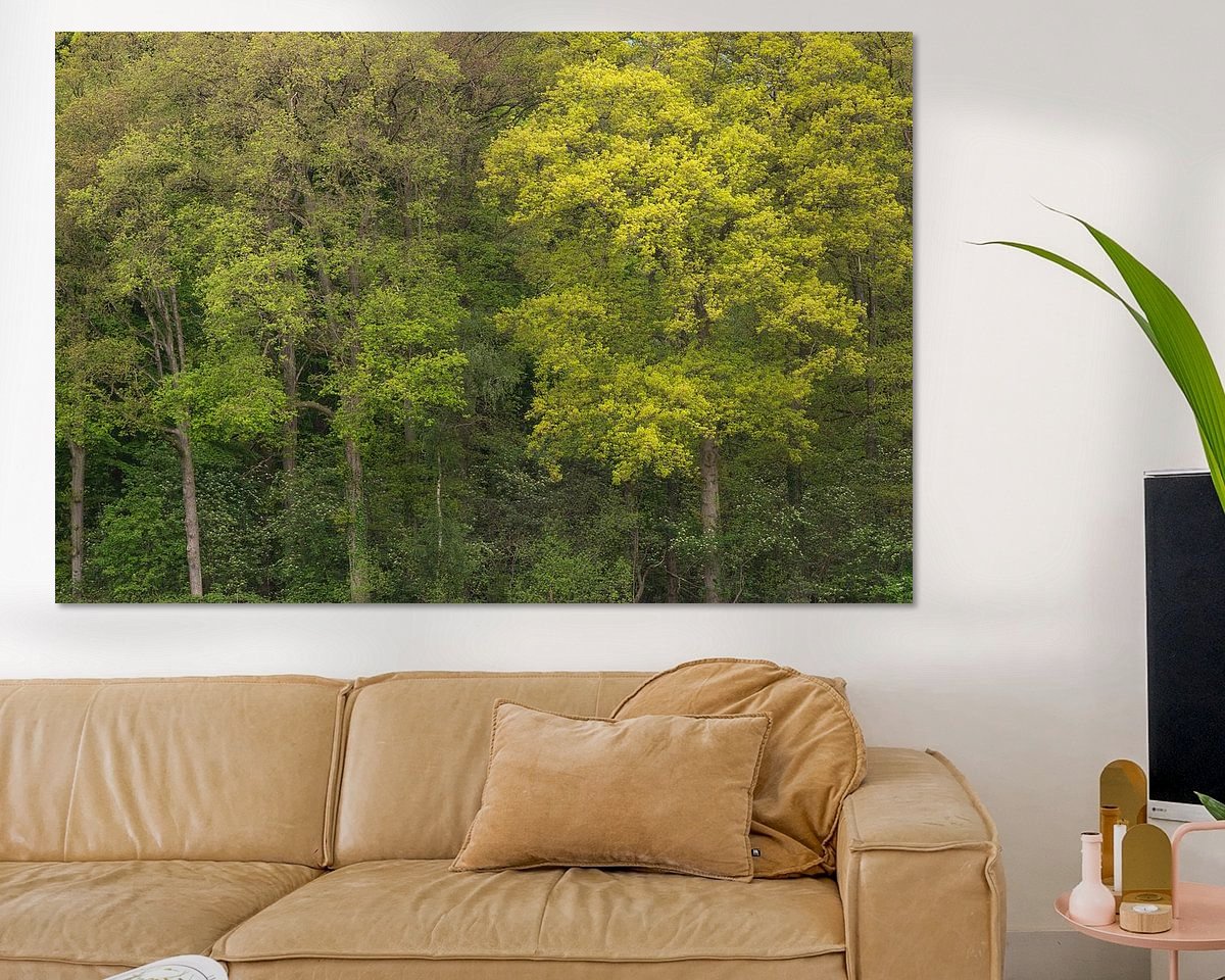 Raumvorschau