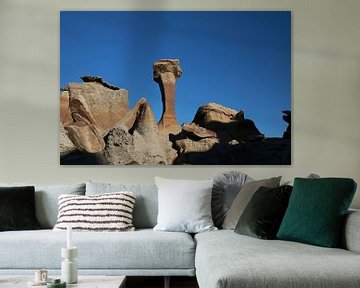 Bisti badlands in winter New Mexico, USA by Frank Fichtmüller