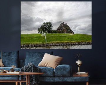 cottage with  thatched roof on grassland von Alexander Baumann