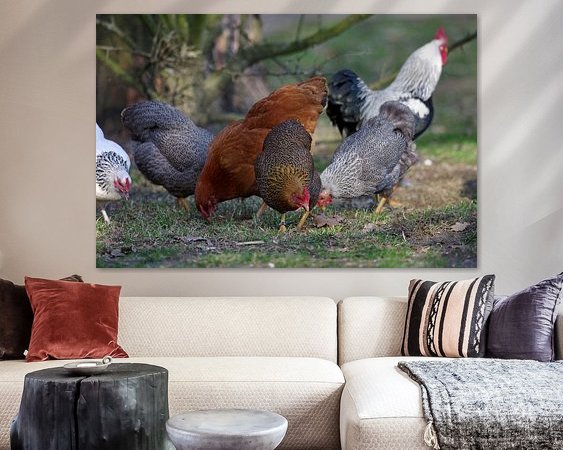 Aperçu de la chambre