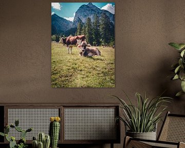 Cows in the Alps and Mountains - Mountains Landscape Nature