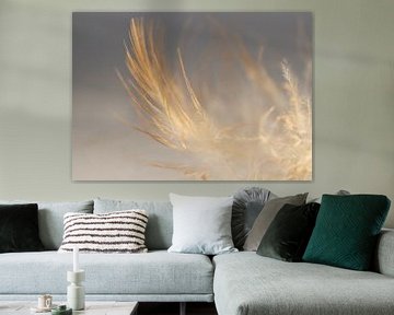 Feather in colour by Greetje van Son