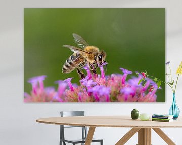 Makrofoto von einer Biene von ManfredFotos