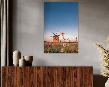 Windmolen in het veld. Landschap shot van Tez met madeliefjes van Fotos by Jan Wehnert