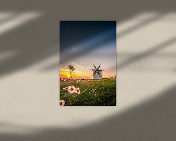Windmüle im Feld. Landschaftsaufnahme aus Tez mit Margeriten von Fotos by Jan Wehnert
