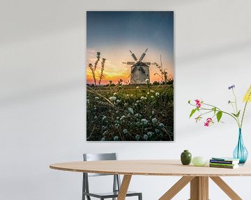 Windmüle im Feld. Landschaftsaufnahme aus Tez im Sonnenuntergang von Fotos by Jan Wehnert