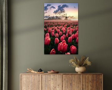 Tulipes néerlandaises sur Alex De Haan