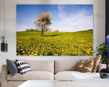 Landschap in Beieren met een bloeiende boom in de lente van ManfredFotos