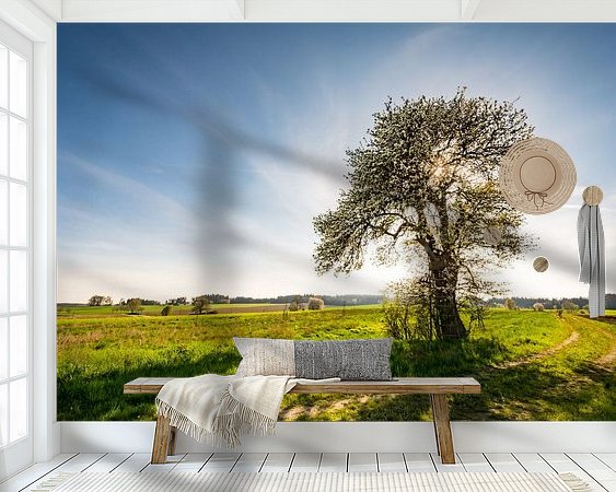Raumvorschau
