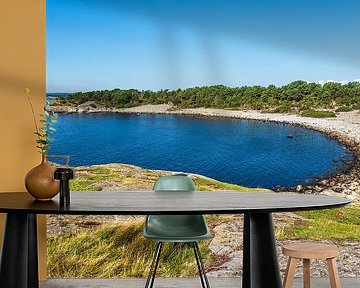 Landschap met baai op het eiland Merdø in Noorwegen