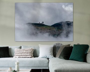 Arbres dans le brouillard sur le Pico Arieiro, Madère, Portugal