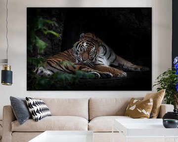 Powerful calm tiger, the Amur tiger licks its fur in the dark, chenny background and foliage by Michael Semenov