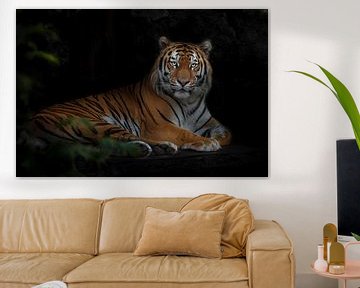 Blätter und ein mächtiger majestätischer Tiger, der in der Dunkelheit fliegt, der Amur-Tiger von Michael Semenov