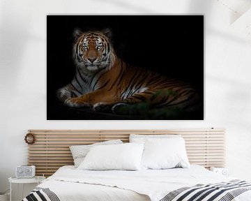 Grand tigre fort, tigre de l'Amour isolé sur fond noir avec des feuilles vertes, symbole de force et sur Michael Semenov