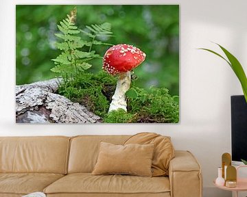 Toadstool van Wiltrud Schwantz