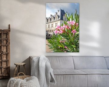 Oleander bij Chateaux de Villandry, Frankijk van Christa Stroo fotografie