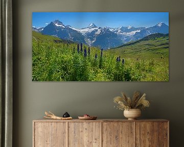 Bergpanorama Berner Oberland von SusaZoom