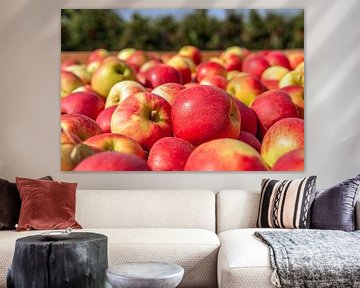 Caisse de récolte en bois pleine de pommes fraîchement cueillies sur Ruud Morijn