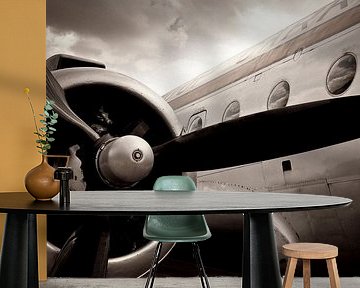 Come fly with me by Maarten De Wispelaere