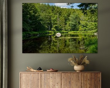 Trees reflected in the lake by Hans-Heinrich Runge