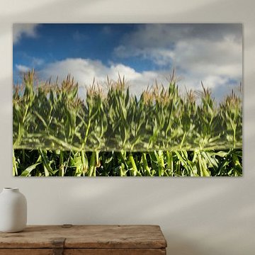 Auf den Kopf gestellt.