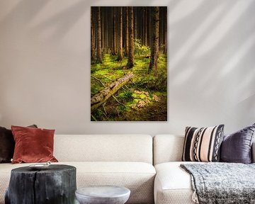 Ardenner Wald von Sander Poppe