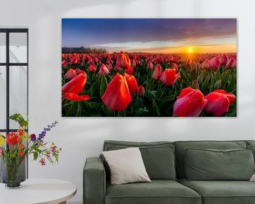 Zonsopgang bij een rood tulpenveld van Rene Siebring