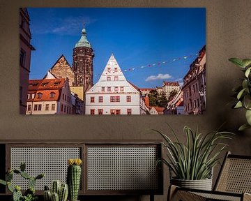 Vue de la ville de Pirna en Saxe sur Animaflora PicsStock