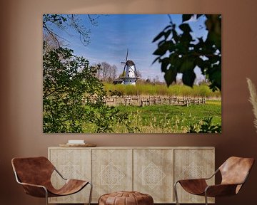 Vue sur le moulin blanc sur Tina Linssen