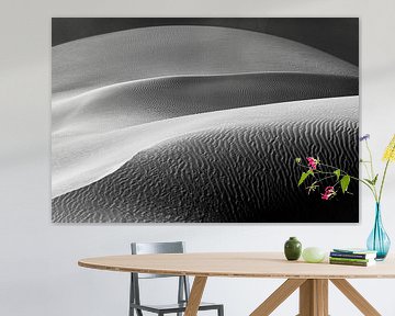 Image abstraite d'une dune de sable