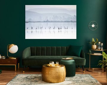 Flamingos in the Gailova Lagoon by Andius Teijgeler