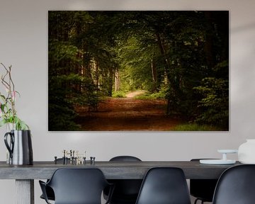 Haagse Bospad Enschede sur Nik Kotterink