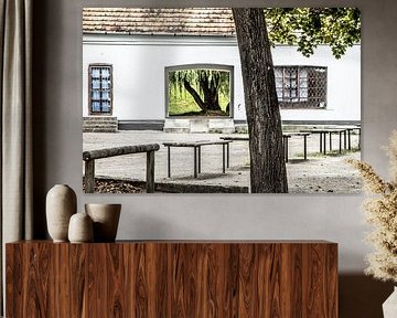 view through to tree from courtyard
